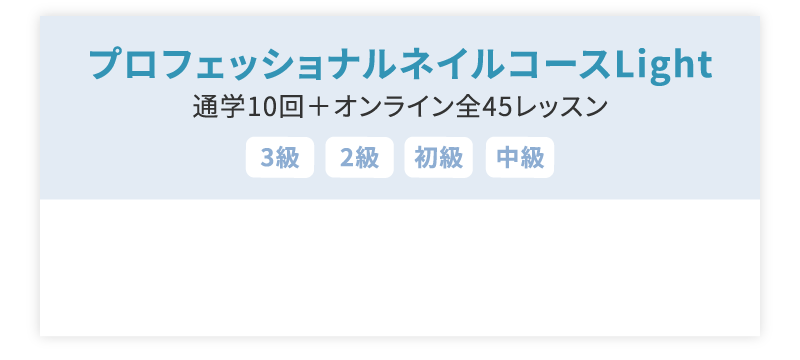 プロフェッショナルネイルコースLight