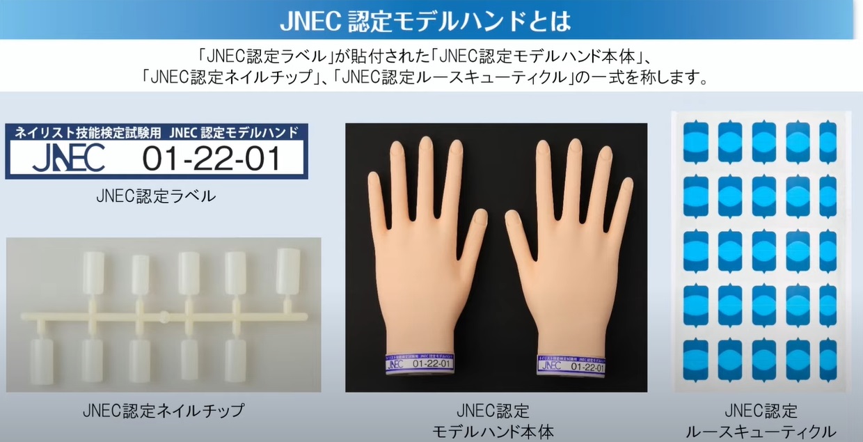 JNEC 認定モデルハンド チップ スペース両面テープ 売買 - ネイル 