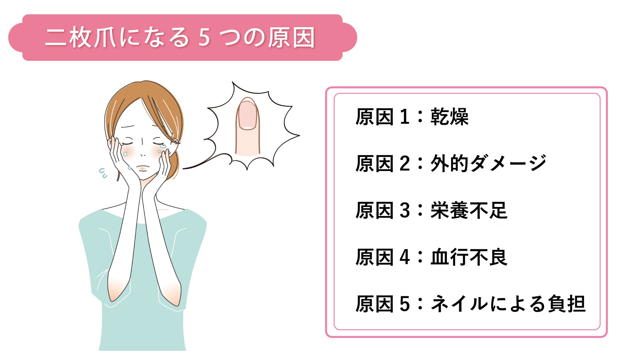 二枚爪になる原因を書いたイラスト