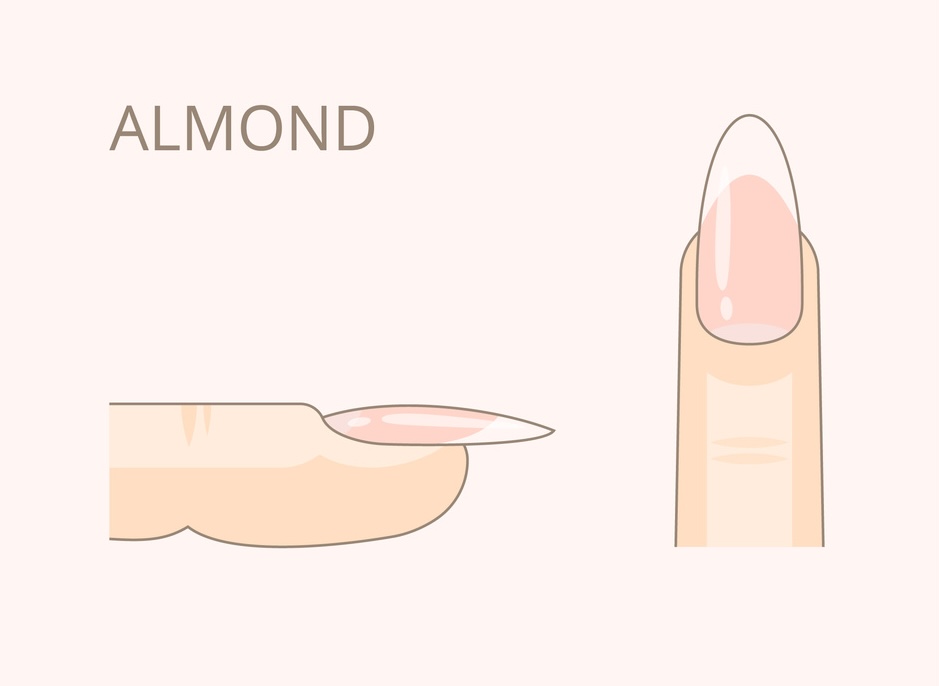 ポイント（アーモンド）のイメージ画像