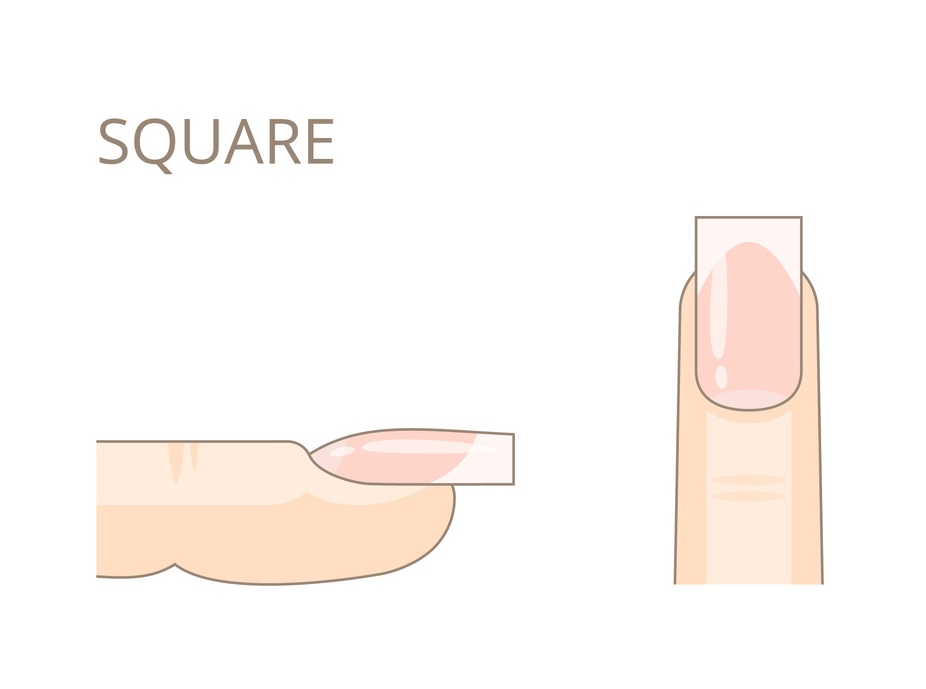 スクエアのイメージ画像