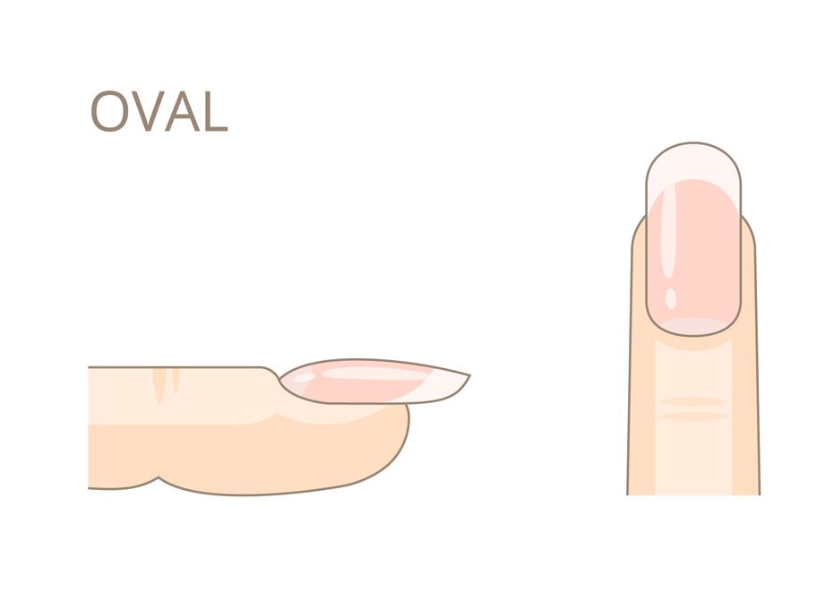 オーバルのイメージ画像